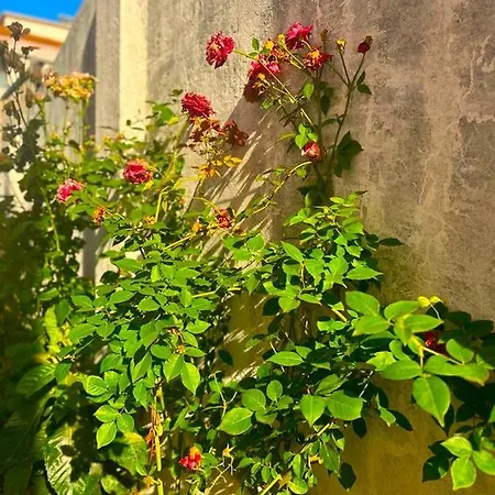 Guest house Lisabonna